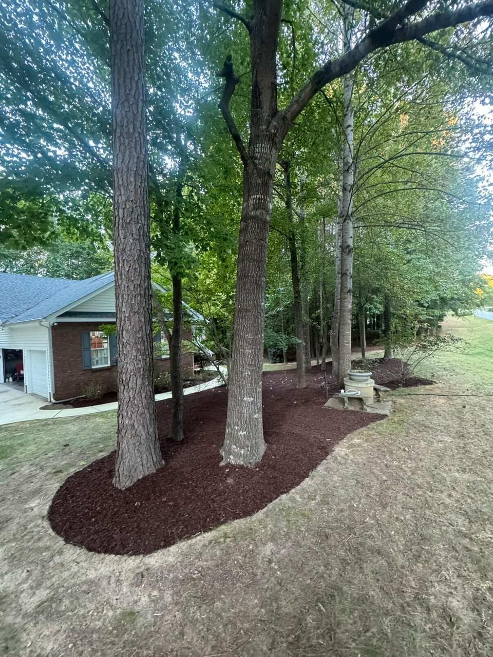 Premium Sod Installation